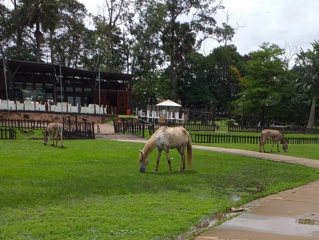 Agodi Gardens Ibadan [ericotrips]