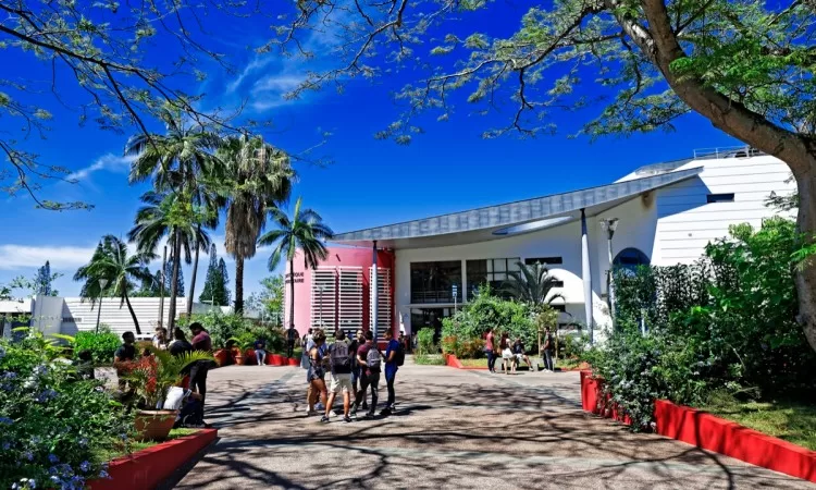 Université, campus du Tampon [Zinfos 974]