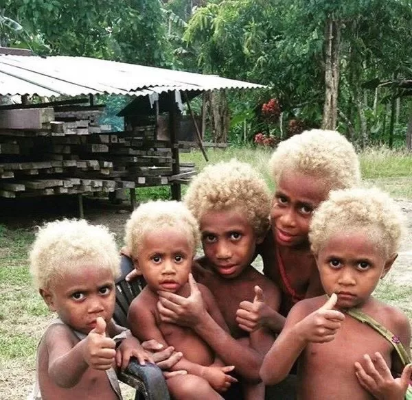 Melanesians: Exploring The Origins Of Natural Black Blondes
