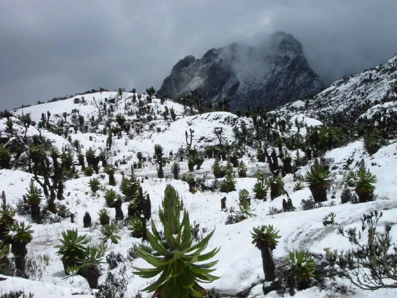 Snow in Uganda