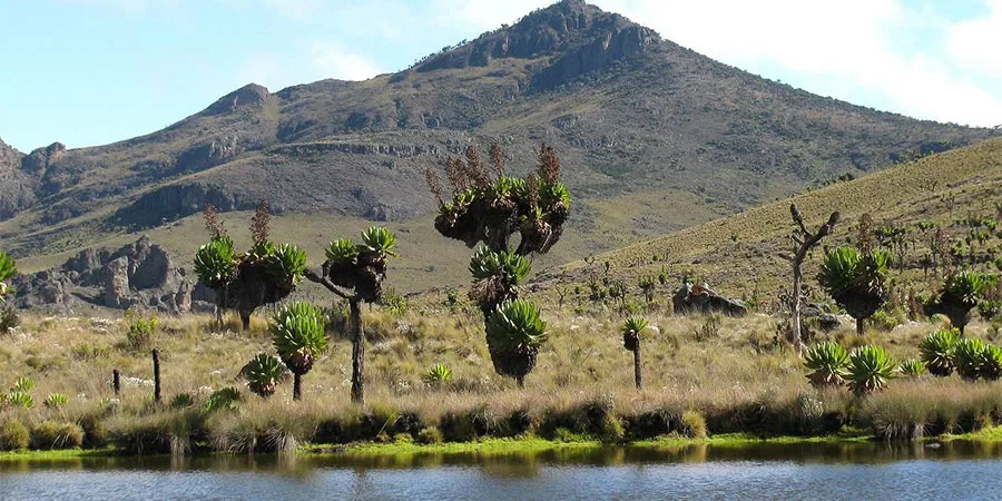 15 Highest Mountains In Africa You Need To Visit In 2024 19 Mount Elgon - Uganda, Kenya