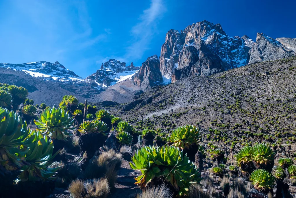 15 Highest Mountains In Africa You Need To Visit In 2024 13 Mount-Kenya-Kenya