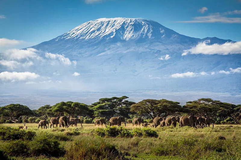 15 Highest Mountains In Africa You Need To Visit In 2024 12 Mount Kilimanjaro, Tanzania