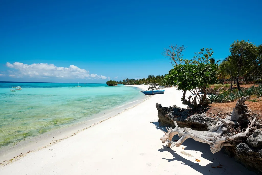 10 Most Beautiful Islands In Africa 20 Pemba Island