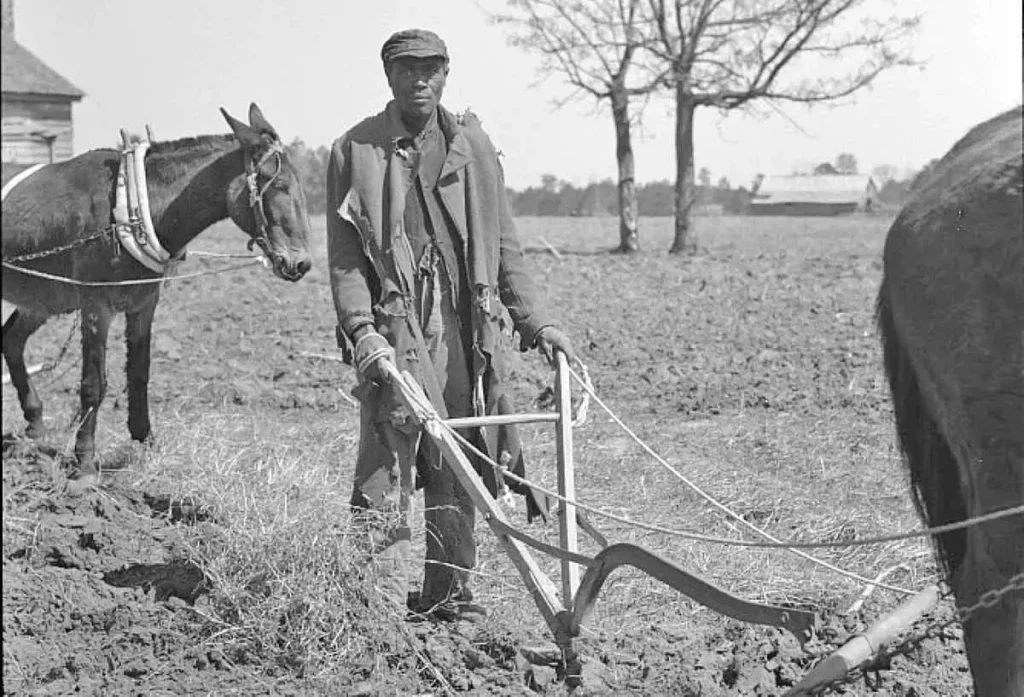 The Great Migration: The Story Of African Americans 13 The Great Migration: The Story Of African Americans