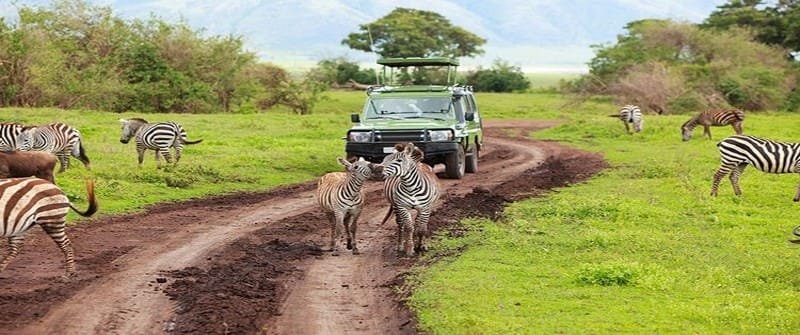 15 Must-See Places For Your Tanzania Safari Tours and Trips 2024 16 Arusha National Park