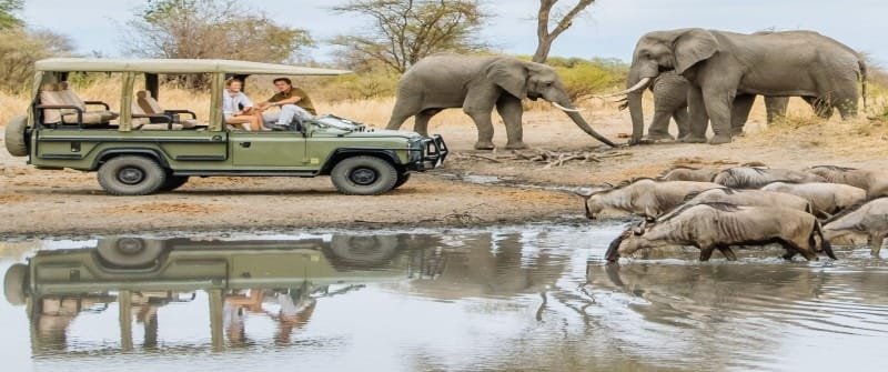 15 Must-See Places For Your Tanzania Safari Tours and Trips 2024 15 Lake Manyara National Park