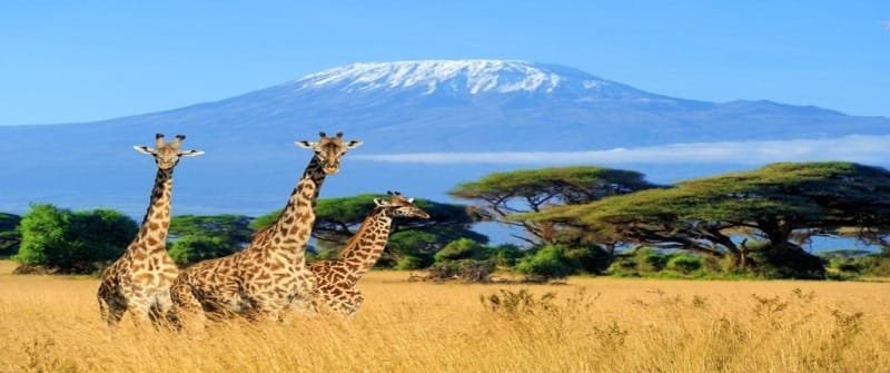 15 Must-See Places For Your Tanzania Safari Tours and Trips 2024 24 Mount Kilimanjaro