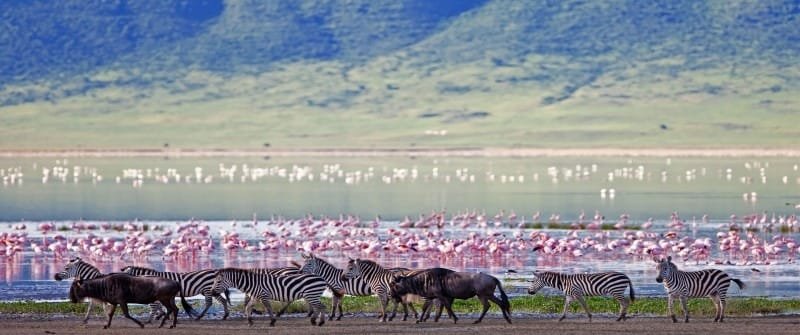 15 Must-See Places For Your Tanzania Safari Tours and Trips 2024 13 Ngorongoro Crater