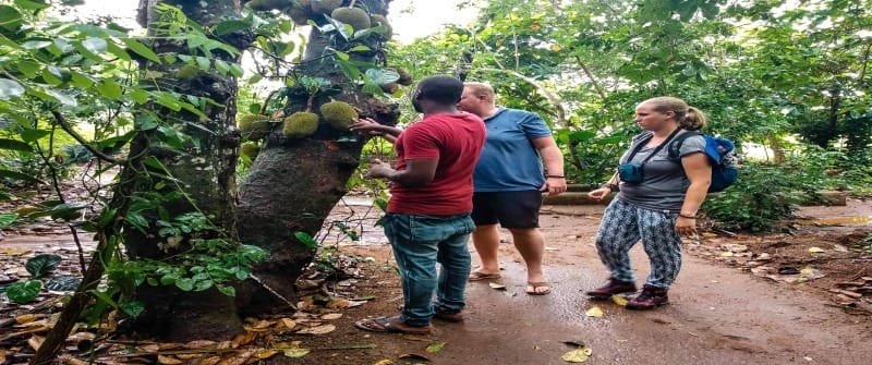 15 Must-See Places For Your Tanzania Safari Tours and Trips 2024 23 Spice Plantations, Zanzibar