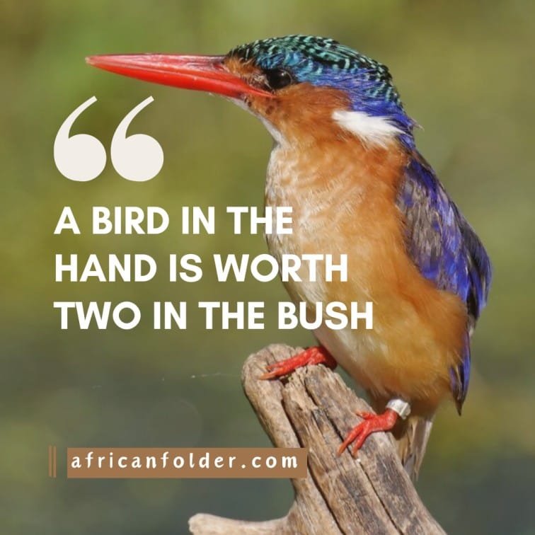 african proverbs and african quotes (1)