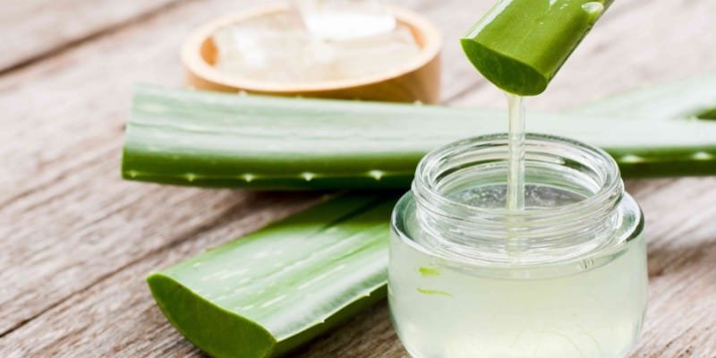 Aloe Vera