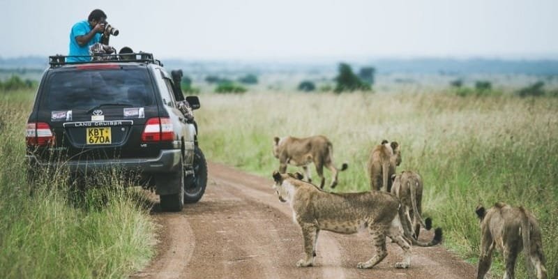 The 10 Best Places To Visit In Africa In 2025 18 Nairobi National Park, Kenya
