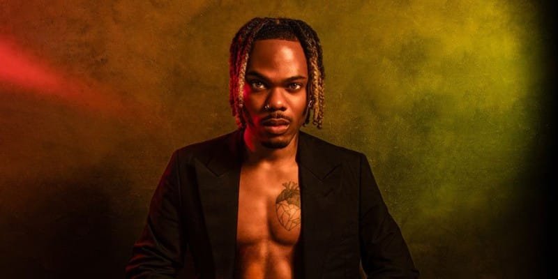 CKay Emotions Album Review