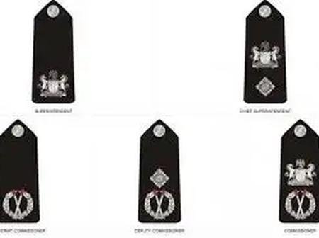 Nigerian Police Ranks, Symbols, And Salaries 2025: Everything You Need To Know 19 Nigerian Police Ranks, Symbols, And Salaries 2025: Everything You Need To Know