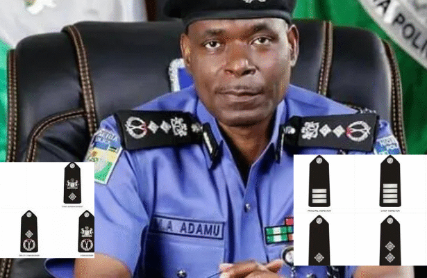 Nigerian Police Ranks, Symbols, And Salaries 2025: Everything You Need To Know
