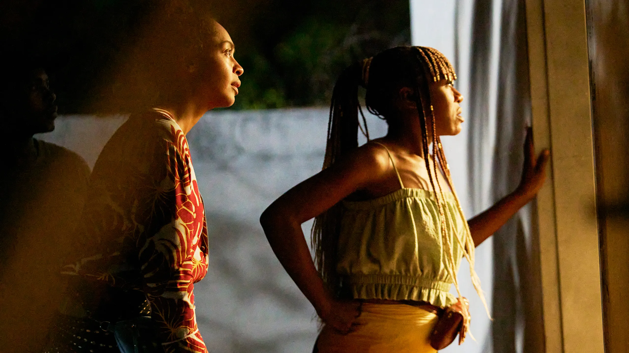 On Becoming A Guinea Fowl movie review