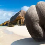 African Countries Now Offering Visa-Free Entry To All Africans