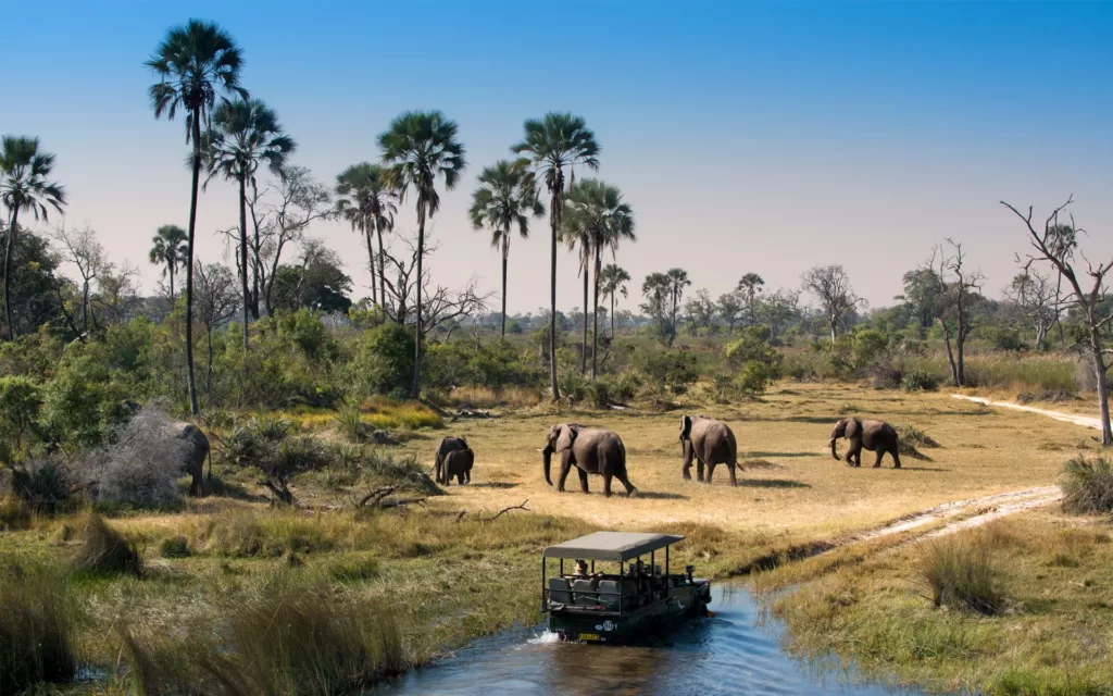 20 Best Places to Visit in Sub-Saharan Africa 15 Okavango Delta, Botswana