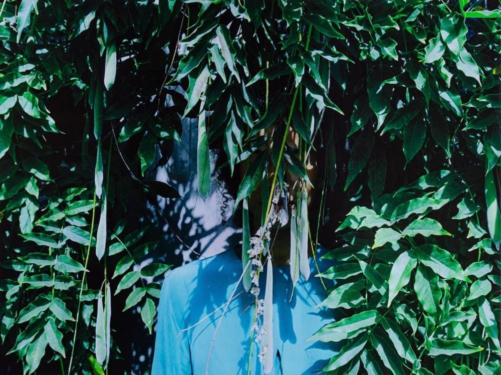 Zohra Opoku art