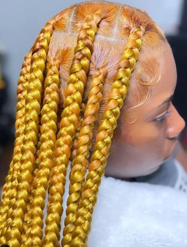 Knotless Braids with Color